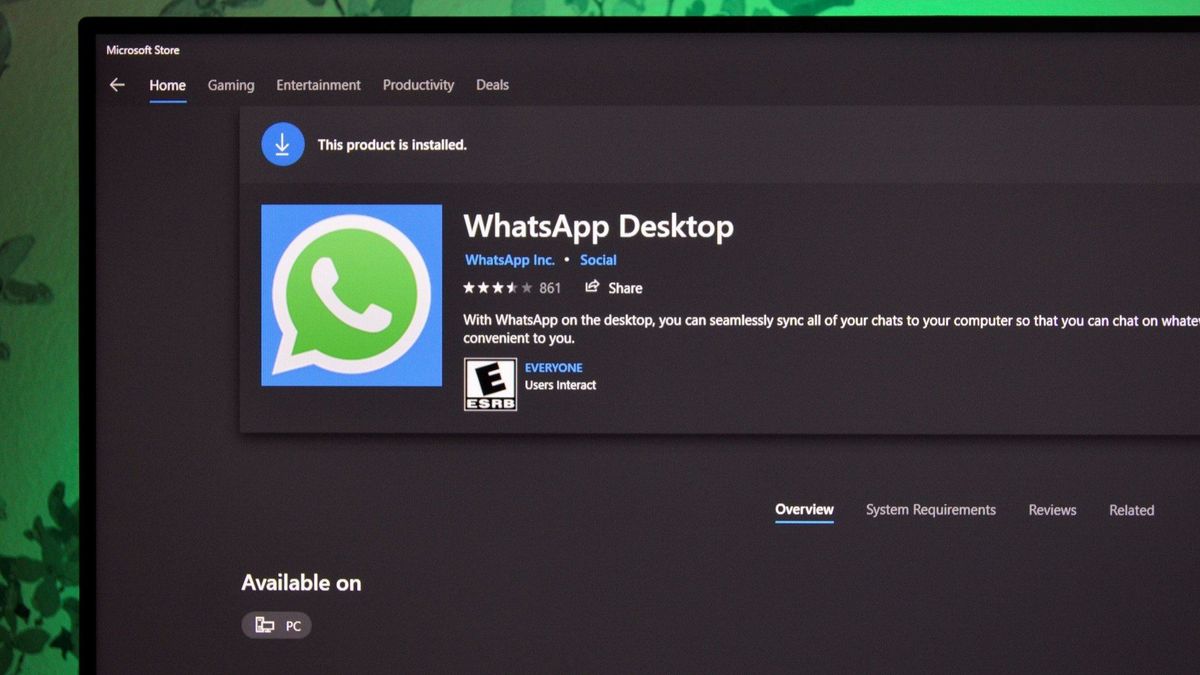2023 called and WhatsApp answered with this long-awaited feature