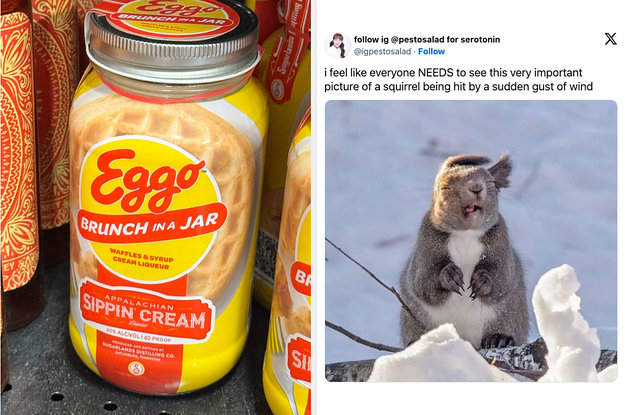 19 Things That Made Me So, So Happy This Week
