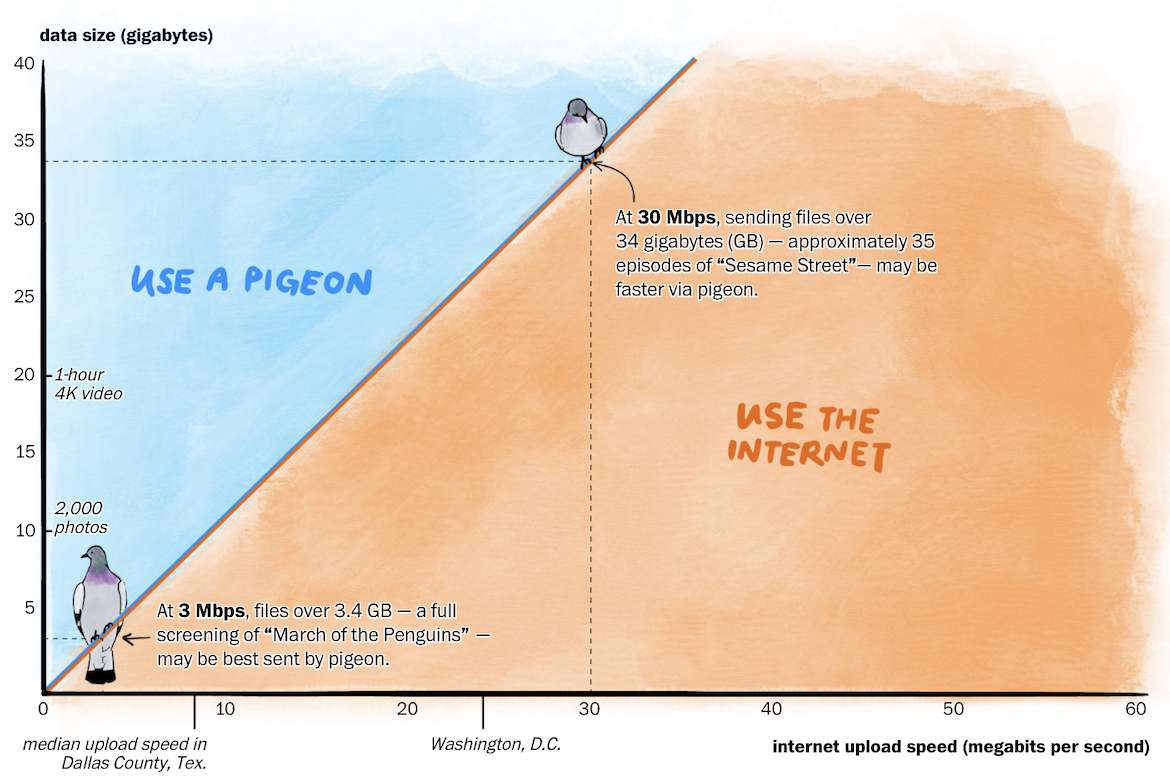 Visualizing Pigeon Versus Internet Speeds