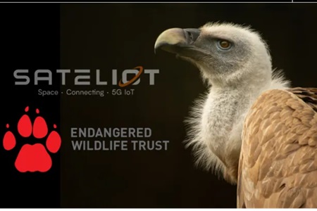 Sateliot to help wildlife conservation in Africa using 5G IoT satellites – SatellitePro ME