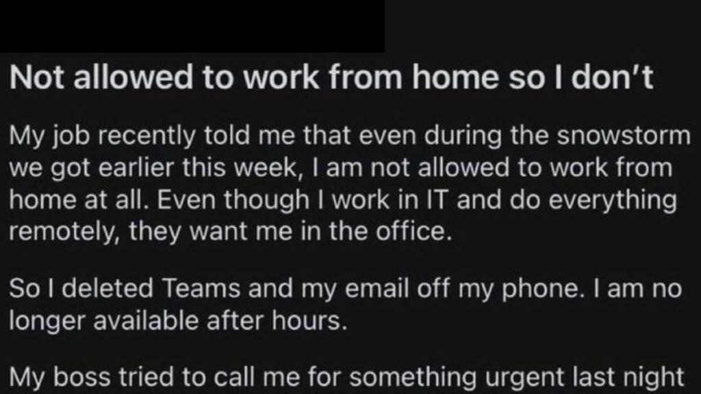 ‘Savage’: Redditor’s Blunt Response to Office’s ‘No Work From Home’ Rule Impresses Internet