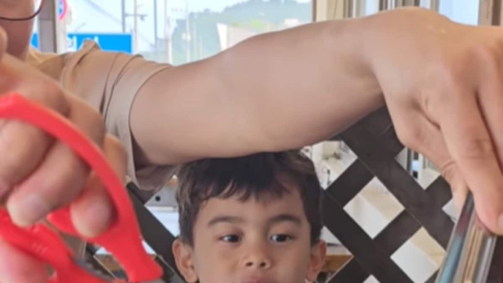 Watch: Indian-Origin Toddler Wows Internet With His Fluent Korean And Malayalam