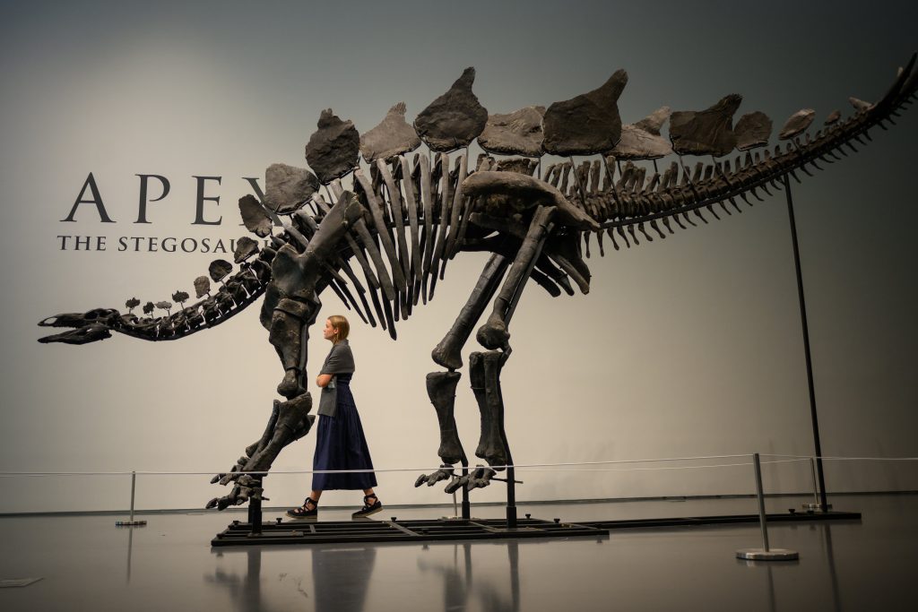 Citadel’s Ken Griffin buys a stegosaurus for $45 million in a record auction sale