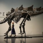 Citadel’s Ken Griffin buys a stegosaurus for $45 million in a record auction sale