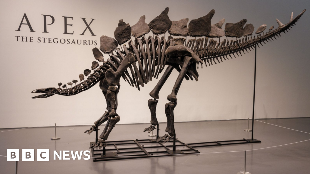 Dinosaur skeleton fetches record $44.6m at New York auction – BBC.com