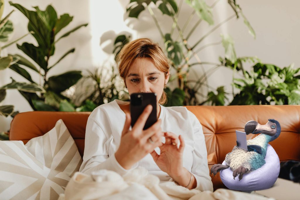 Australians’ online winter habits revealed: Dodo internet report