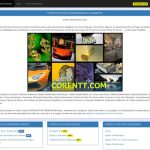 Secretos para Crear Abundancia Infinita