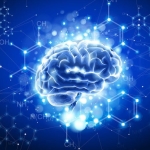 Flavanols Break the Rules of Nutrition: Scientists Uncover the Surprising Way They Boost the Brain