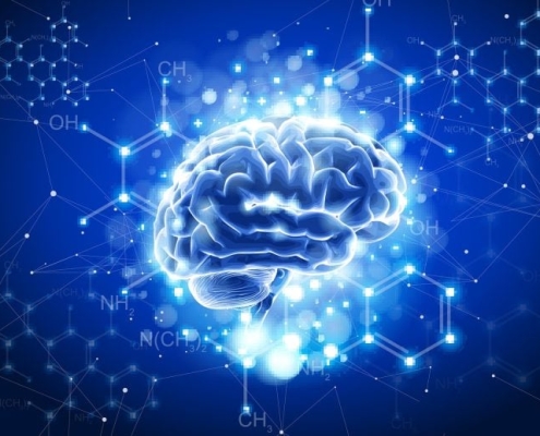 Flavanols Break the Rules of Nutrition: Scientists Uncover the Surprising Way They Boost the Brain