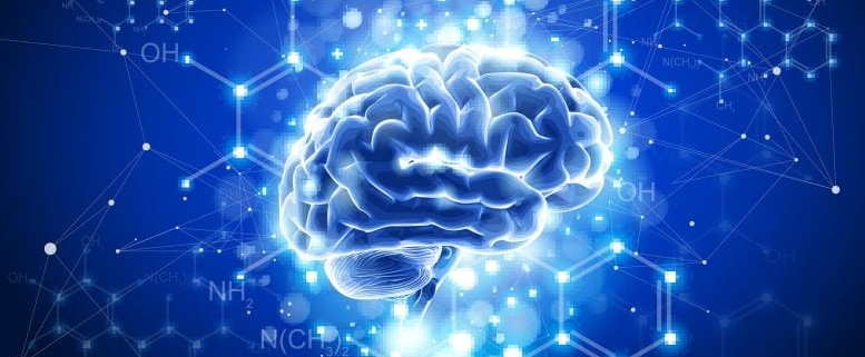 Flavanols Break the Rules of Nutrition: Scientists Uncover the Surprising Way They Boost the Brain