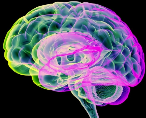 Carbon Dioxide ‘Pulses’ Clears Toxins From Parkinson’s Brains in Recent Study : ScienceAlert