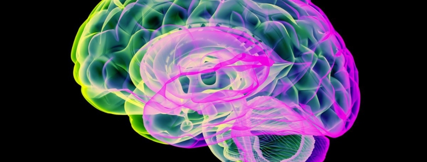 Carbon Dioxide ‘Pulses’ Clears Toxins From Parkinson’s Brains in Recent Study : ScienceAlert