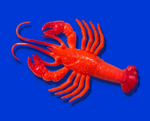 OpenClaw’s AI assistants are now building their own social network