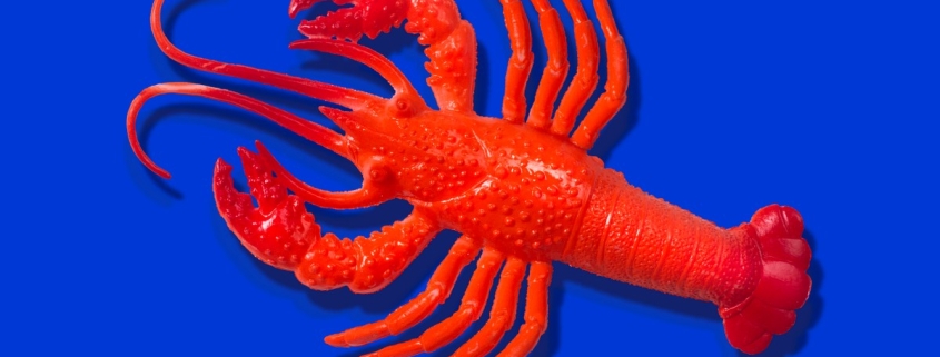 OpenClaw’s AI assistants are now building their own social network