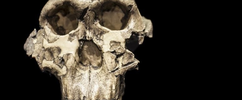 Scientists Found an Ancient Human Relative Where None Was Expected