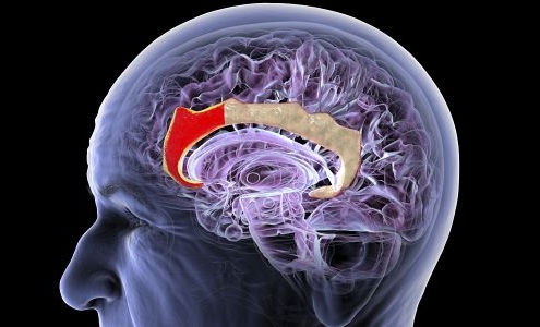This Chinese Startup Wants to Build a New Brain-Computer Interface—No Implant Required