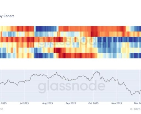 ‘Whales’ are buying the dip while everyone else runs for the exits