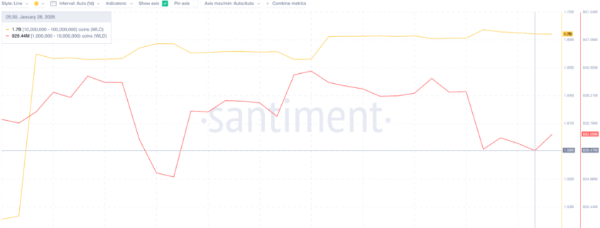 Worldcoin Price Prediction: Up 50% in Days as OpenAI Buzz Explodes – Is a Violent Second Pump About to Hit?