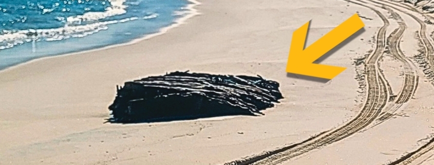 Fierce Storms Expose 19th-Century Maritime Mystery on Jersey Shore : ScienceAlert