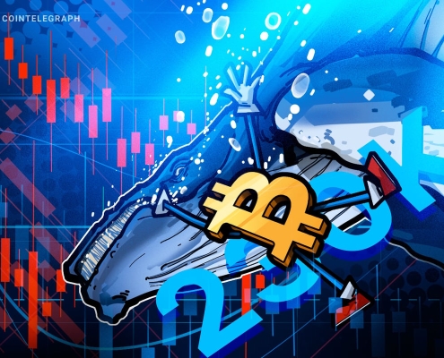 Bitcoin Whales Rebuild Reserves With 236K BTC in 90-days