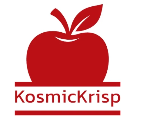 Mesa’s KosmicKrisp Vulkan-On-Metal Achieves MoltenVK Feature Parity