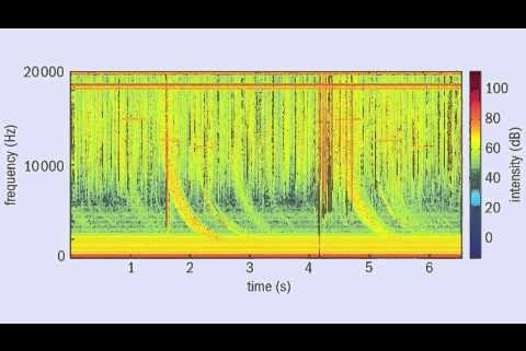 Lightning ‘Whistler’ Detected on Mars For The First Time, Scientists Report : ScienceAlert Lightning ‘Whistler’ Detected on Mars For The First Time, Scientists Report : ScienceAlert
