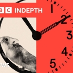 In the AI gold rush, tech firms are embracing 72-hour weeks