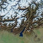 A Jaw-Dropping Space View of Italy Hosting the Winter Olympics