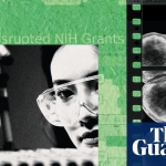 ‘We’re no longer attracting top talent’: the brain drain killing American science | US news
