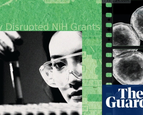‘We’re no longer attracting top talent’: the brain drain killing American science | US news