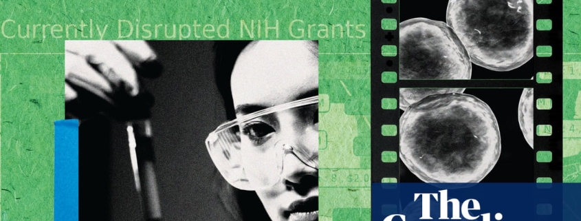 ‘We’re no longer attracting top talent’: the brain drain killing American science | US news