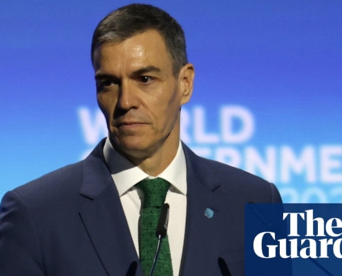 Elon Musk calls Spanish PM a ‘tyrant’ over plan to ban under-16s from social media and curb hateful content | Social media