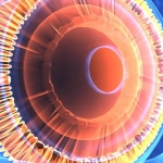 Newly Discovered “Hybrid” Eye Cell Challenges 150 Years of Biology