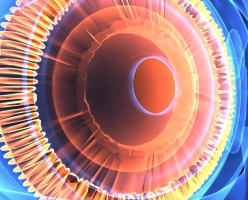 Newly Discovered “Hybrid” Eye Cell Challenges 150 Years of Biology