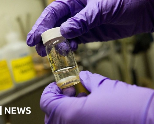 Single vaccine could protect against all coughs, colds and flus, researchers say