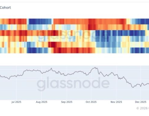 BTC is seeing accumulation across all cohorts, according to Glassnode