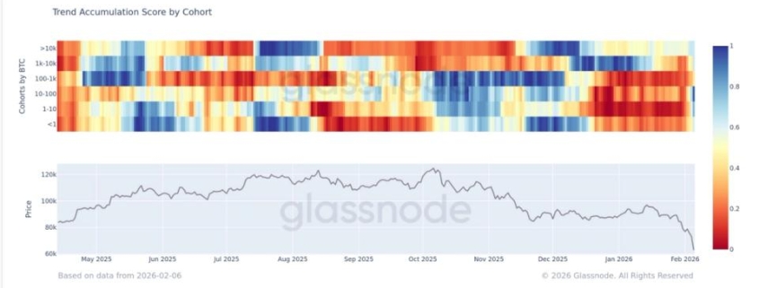 BTC is seeing accumulation across all cohorts, according to Glassnode