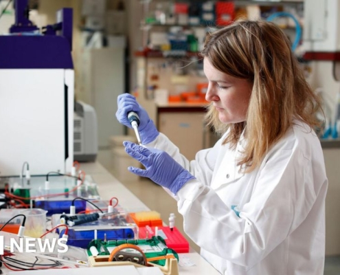 UK's £8bn research fund faces 'hard decisions' as it pauses new grants