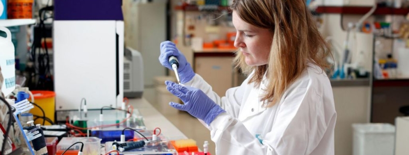 UK's £8bn research fund faces 'hard decisions' as it pauses new grants