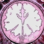 The robots who predict the future