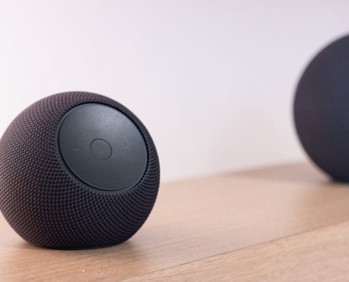 New Voice Assistants Are Officially a Whiff (for Now)