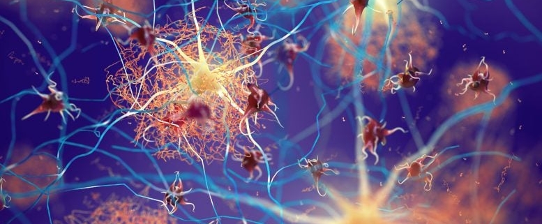 Scientists Uncover the Hidden Mechanism Behind FDA-Approved Alzheimer’s Drug Scientists Uncover the Hidden Mechanism Behind FDA-Approved Alzheimer’s Drug