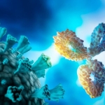 A Tiny Antibody Just Crushed the Coronavirus’s Secret Weak Spot A Tiny Antibody Just Crushed the Coronavirus’s Secret Weak Spot