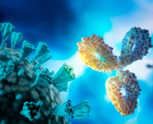A Tiny Antibody Just Crushed the Coronavirus’s Secret Weak Spot A Tiny Antibody Just Crushed the Coronavirus’s Secret Weak Spot