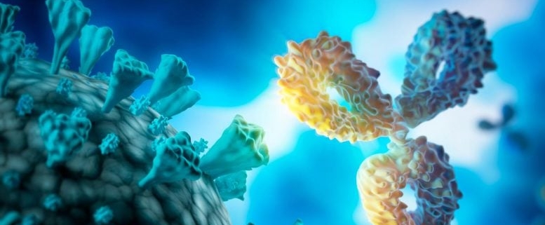 A Tiny Antibody Just Crushed the Coronavirus’s Secret Weak Spot