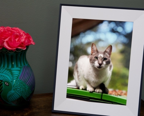 We found 20 Verge-approved gifts on sale ahead of Valentine’s Day