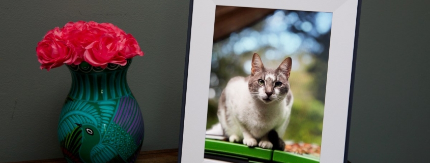 We found 20 Verge-approved gifts on sale ahead of Valentine’s Day We found 20 Verge-approved gifts on sale ahead of Valentine’s Day