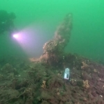 Lost for 80 Years: WWII B-17 Bomber Discovered in the Baltic Sea