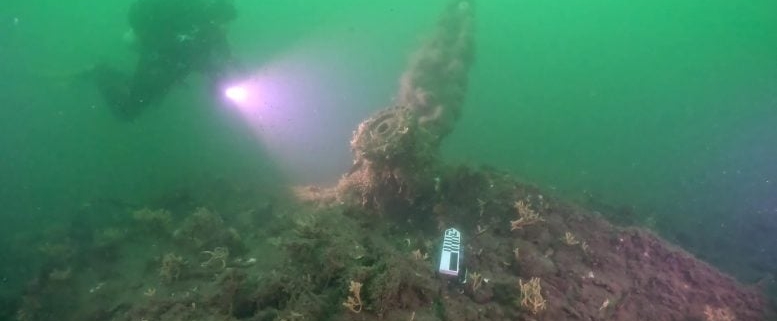 Lost for 80 Years: WWII B-17 Bomber Discovered in the Baltic Sea Lost for 80 Years: WWII B-17 Bomber Discovered in the Baltic Sea
