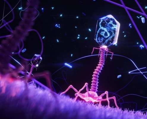 A Virus Designed in the Lab Could Help Defeat Antibiotic Resistance A Virus Designed in the Lab Could Help Defeat Antibiotic Resistance